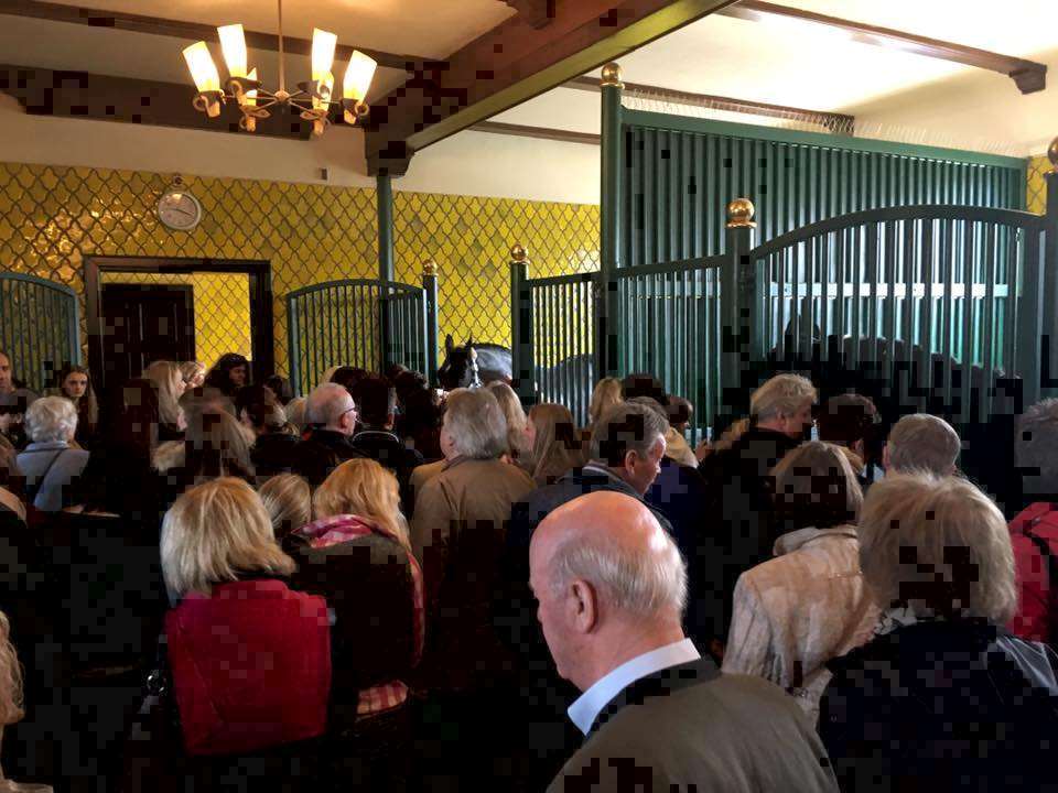 Even geduld graag voor een selfie met Totilas