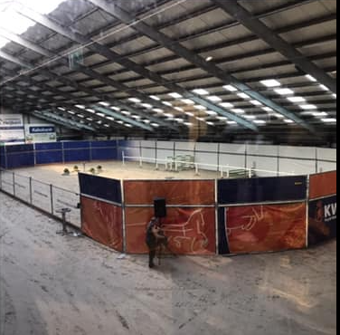 Vrij bewegen/springen in 2019!