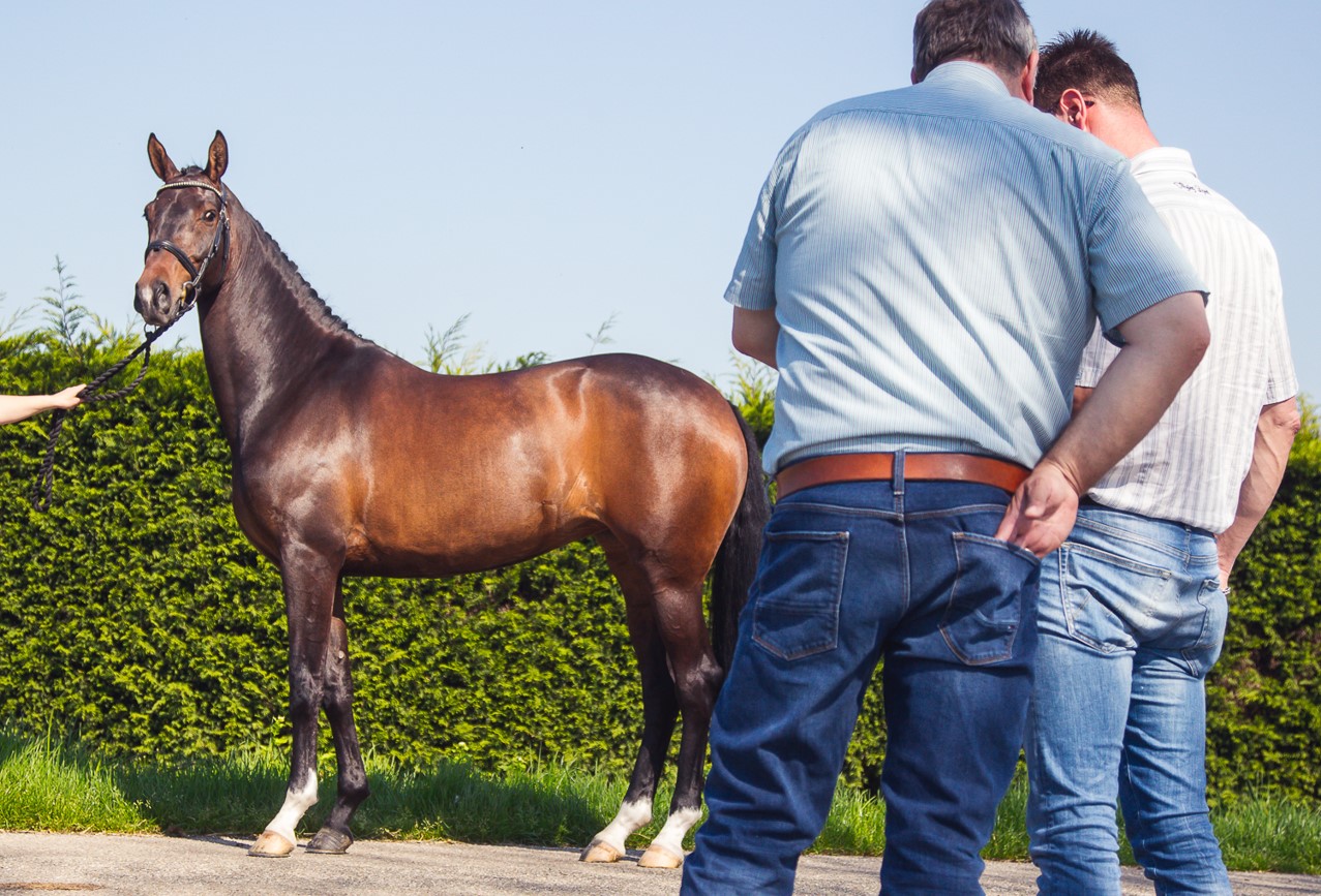 Foto: Yvonne Termeer