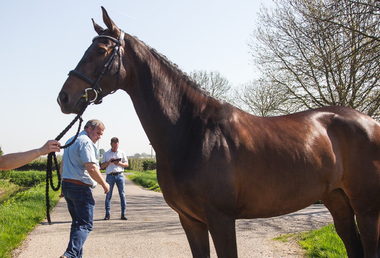 Foto: Yvonne Termeer