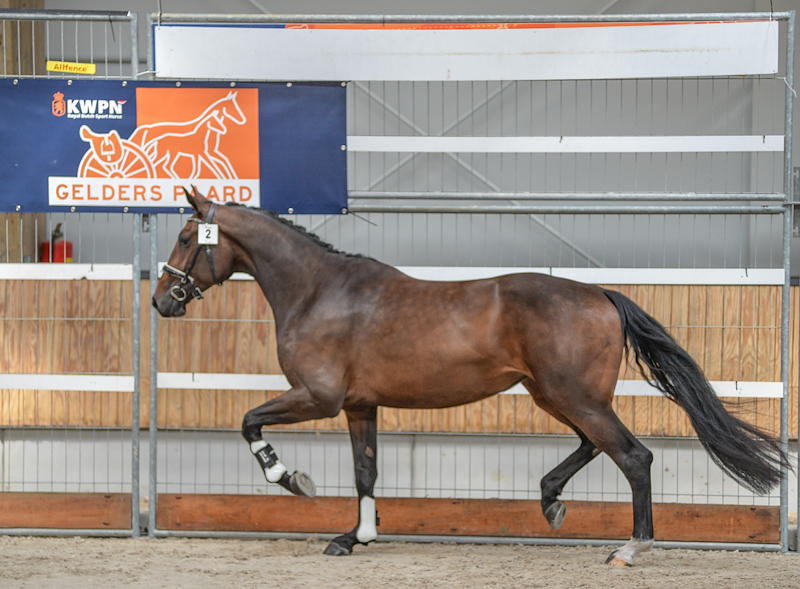 Onna Dodessa van Heemstate