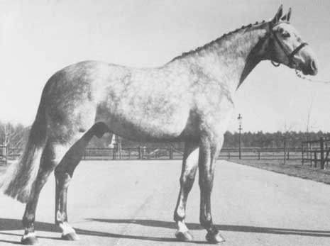 M.GRAF GOTTHARD Z, 1971