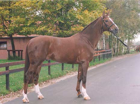 EPILOT, 1986