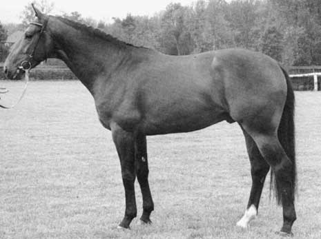 GRAND CRU, 1988