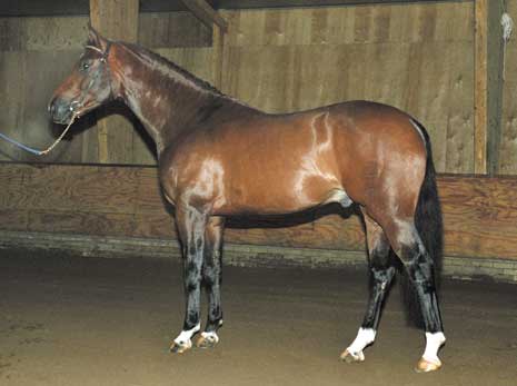 IRON, 1990