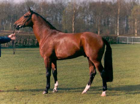 JUPILOT, 1991