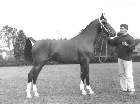 KOLONEL, 1992