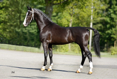 BAANBREKER HBC, 2006