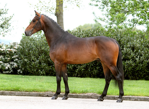 CHAPEAU VALIÈRE, 2007