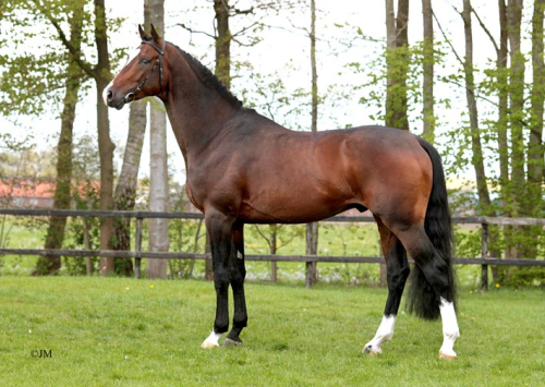 GEORGE, 2011