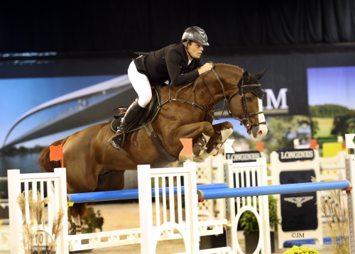 CHAT BOTTE DU RUISSEAU Z, 2008