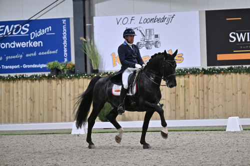 DEIFELDT'S KING VAN DE LANDHORST, 2015