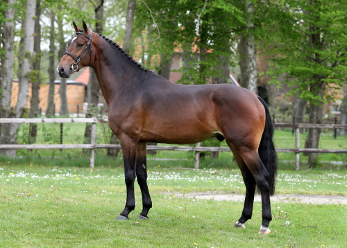 NOTTINGHAM VDL, 2018