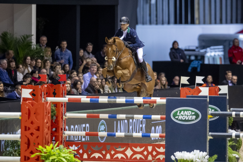 RUBENS LS LA SILLA, 2006