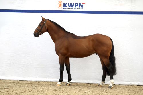 SPRINGFIELD VDL, 2022