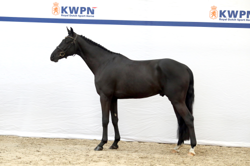 STORY OF THE YEAR PP, 2022