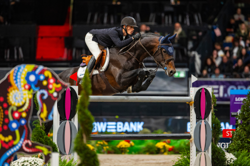 FUNKY FRED MARIENSHOF Z, 2014